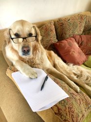 Chrisjoines1 Meme Template