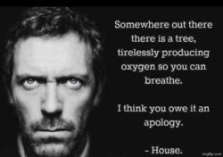 somewhere out there is a tree Meme Template