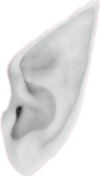 White Elf Ear Meme Template