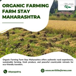 Organic Farming Farm Stay Maharashtra Meme Template