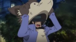 Just What In The Hell Is Happening? Meme Template