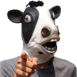 Cow Meme Template