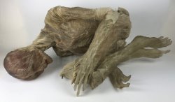 Super old and depressed or tired Meme Template