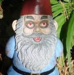 stonned gnome Meme Template