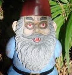 stoned gnome Meme Template
