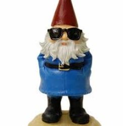 gnome sunglasses Meme Template