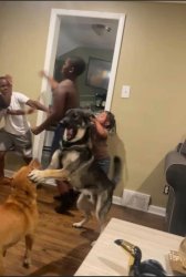 Whole House Mad Meme Template