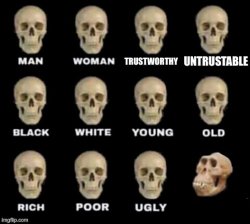 idiot skull Meme Template