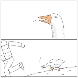 Goose chasing man meme Meme Template