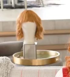 Kathy Griffin Wig Meme Template