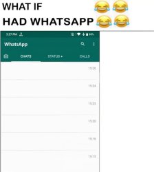What if.....had WhatsApp Meme Template