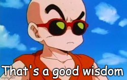 That is good wisdom Meme Template