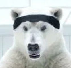 pepsi bear Meme Template