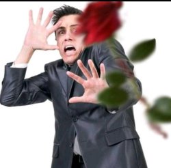 Rejecting rose Meme Template