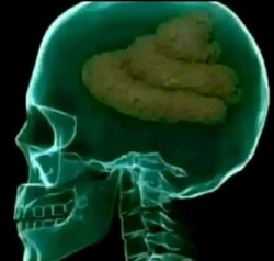 Poop for brains Meme Template