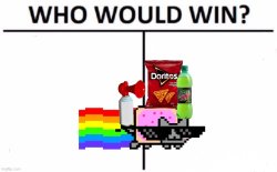 Who Would Win Nyan Cat MLG Meme Template
