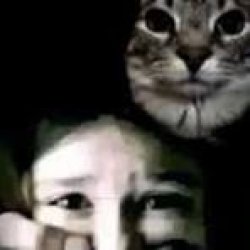 Girl being held captive by a Larry.. Meme Template