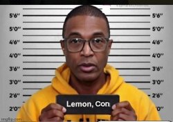 Con Lemon arrest Meme Template