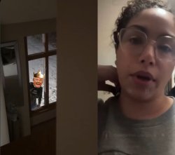 ice-trump-window Meme Template