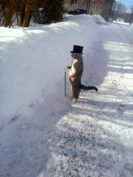 cat snow cane top hat Meme Template