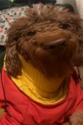 tuff tuff tuff sahur Meme Template