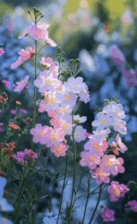 Your Soul Is The Key Meme Template