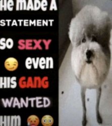 he made a statement so sexy Meme Template
