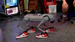 Dog with the J's Meme Template