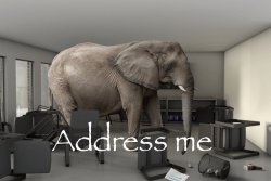 Adress Me Elephant Meme Template