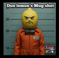 Don Lemon mug shot Meme Template
