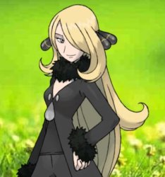 Cynita Meme Template