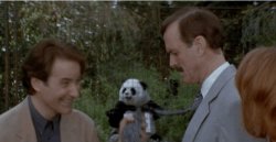 Paisley! Meme Template