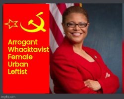 AWFUL Karen Bass Meme Template