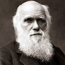 Charles Darwin Meme Template
