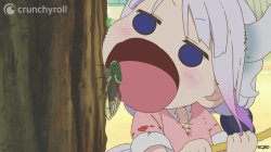 Cicada is Crunchy Meme Template