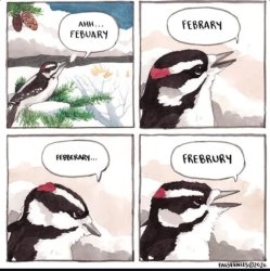 Mispronouncing bird Meme Template
