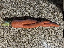 Sexy carrot Meme Template