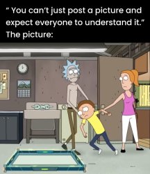 morty flat you can't just post a picture Meme Template