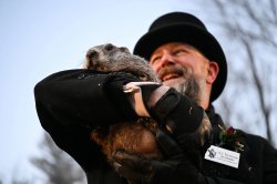 Punxsutawney Phil Meme Template