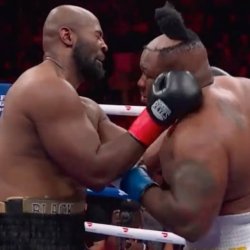 Boxer Hair Meme Template