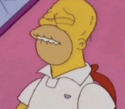 Homer Simpson Meme Template