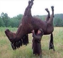 man carrying horse Meme Template