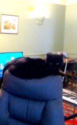 high and ready Meme Template