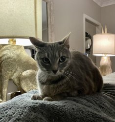 The group when that one person is doing _ Meme Template