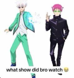 what show did bro watch Meme Template