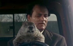 Don’t Drive Angry Meme Template