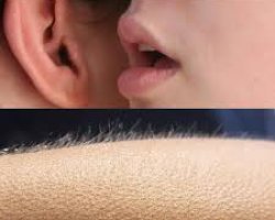 Chills Meme Template