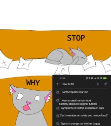 "i saw horror/cringe"cat meme porly drawn Meme Template