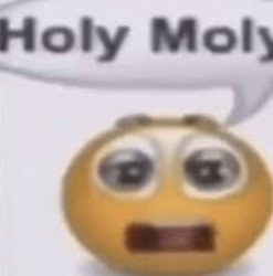 Holay Molay Meme Template
