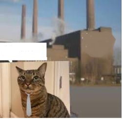 Cat factory Meme Template